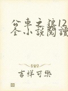公车之狼12集全小说阅读封面