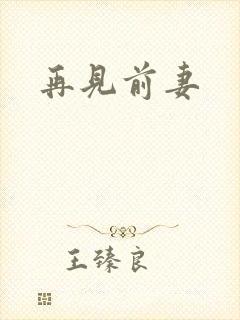 再见前妻