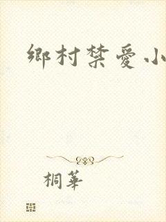 乡村禁爱小说封面