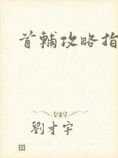 首辅攻略指南封面
