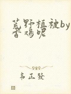 荒野植被by麦香鸡呢封面