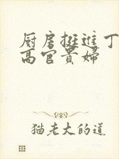 厨房挺进丁字裤高官贵妇封面
