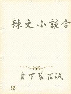 辣文小说合集