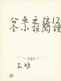公车之狼12集全小说阅读
