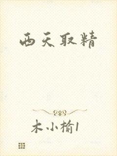 西天取精