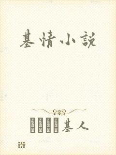 基情小说