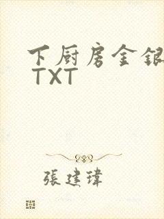 下厨房金银花露 TXT封面