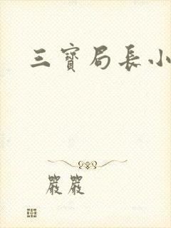 三宝局长小说封面