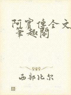 阿宾传全文阅读 笔趣阁