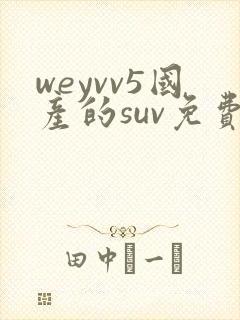 weyvv5国产的suv免费封面
