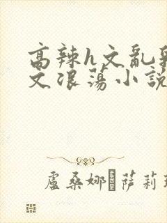 高辣h文乱乳h文浪荡小说苏柔封面