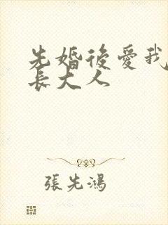 先婚后爱我的市长大人封面