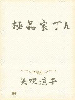 极品家丁h