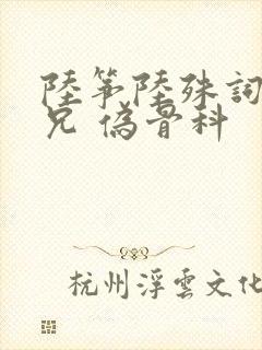 陆筝陆殊词 养兄 伪骨科