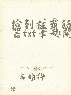 捡到校霸的遥控器txt笔趣阁