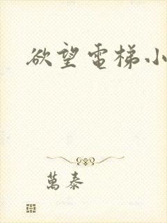 欲望电梯小说
