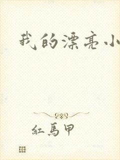 我的漂亮小后妈