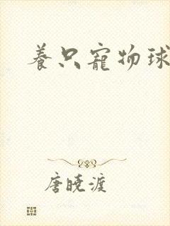养只宠物球