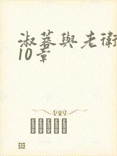 淑蓉与老卫1-10章封面