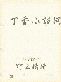 丁香小说网