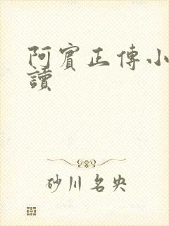 阿宾正传小说在读