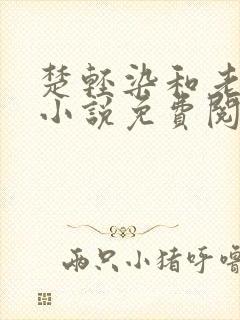 楚轻染和老周的小说免费阅读