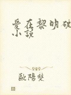 爱在黎明破晓前小说