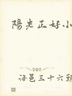 阳光正好小说封面