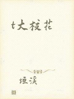 t大校花