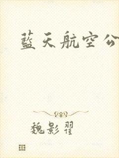 蓝天航空公司