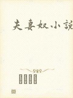 夫妻奴小说