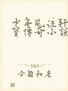 少年风流轩辕大宝传奇小说