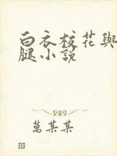 白衣校花与大长腿小说