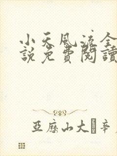 小天风流全集小说免费阅读