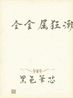 全金属狂潮小说封面