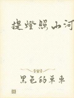 提灯照山河封面