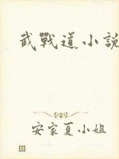武战道小说