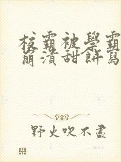 校霸被学霸玩到崩溃甜饼写手