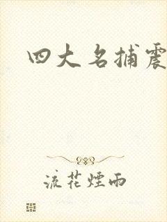 四大名捕震关东封面