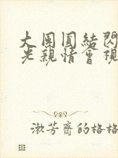 大团圆结闪闪发光亲情会视频