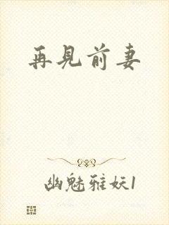 再见前妻