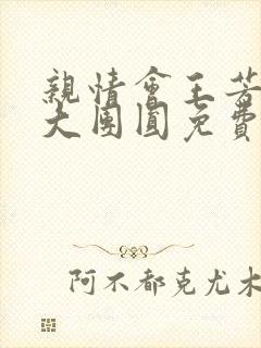 亲情会王芳高敏大团圆免费阅读