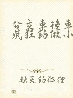 公交车后车座的疯狂的做小