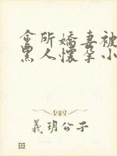会所娇妻被多个黑人怀孕小说封面