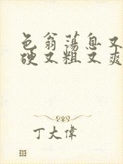 色翁荡息又大又硬又粗又爽