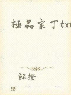 极品家丁txt封面