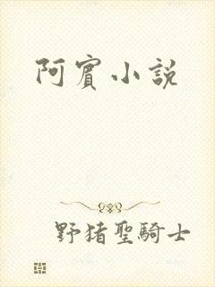 阿宾小说
