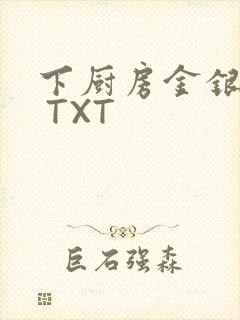 下厨房金银花露 TXT封面