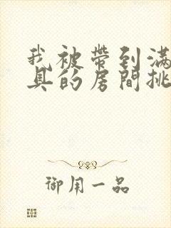 我被带到满是玩具的房间挑调作文