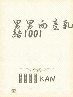 男男向产乳文小结1001封面